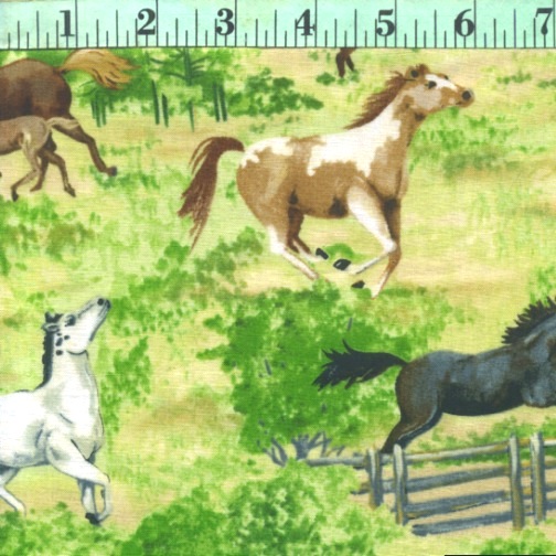 Open Range: Wild Horse Gallop